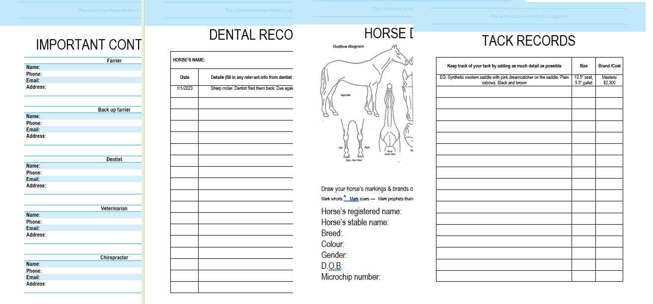 The Ultimate Horse Riders Log Book