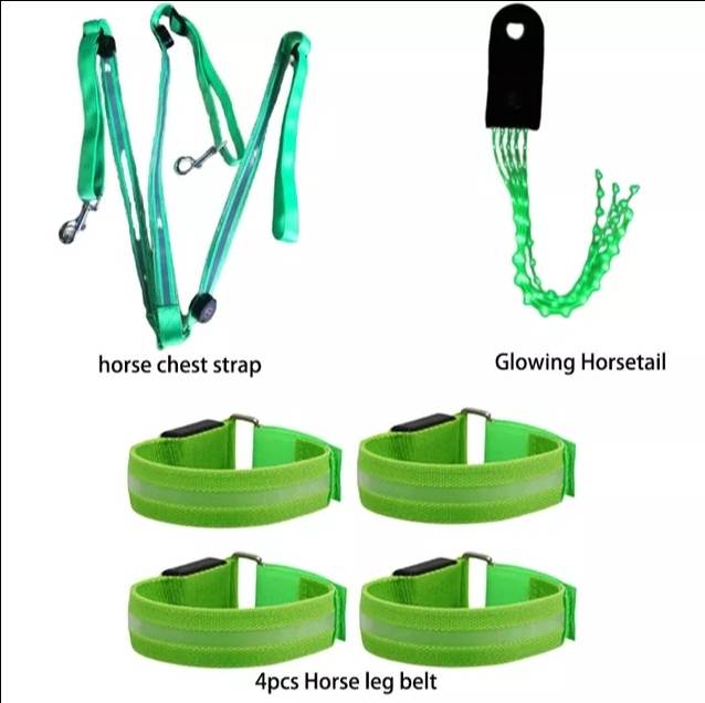 Night time LED horse riding set