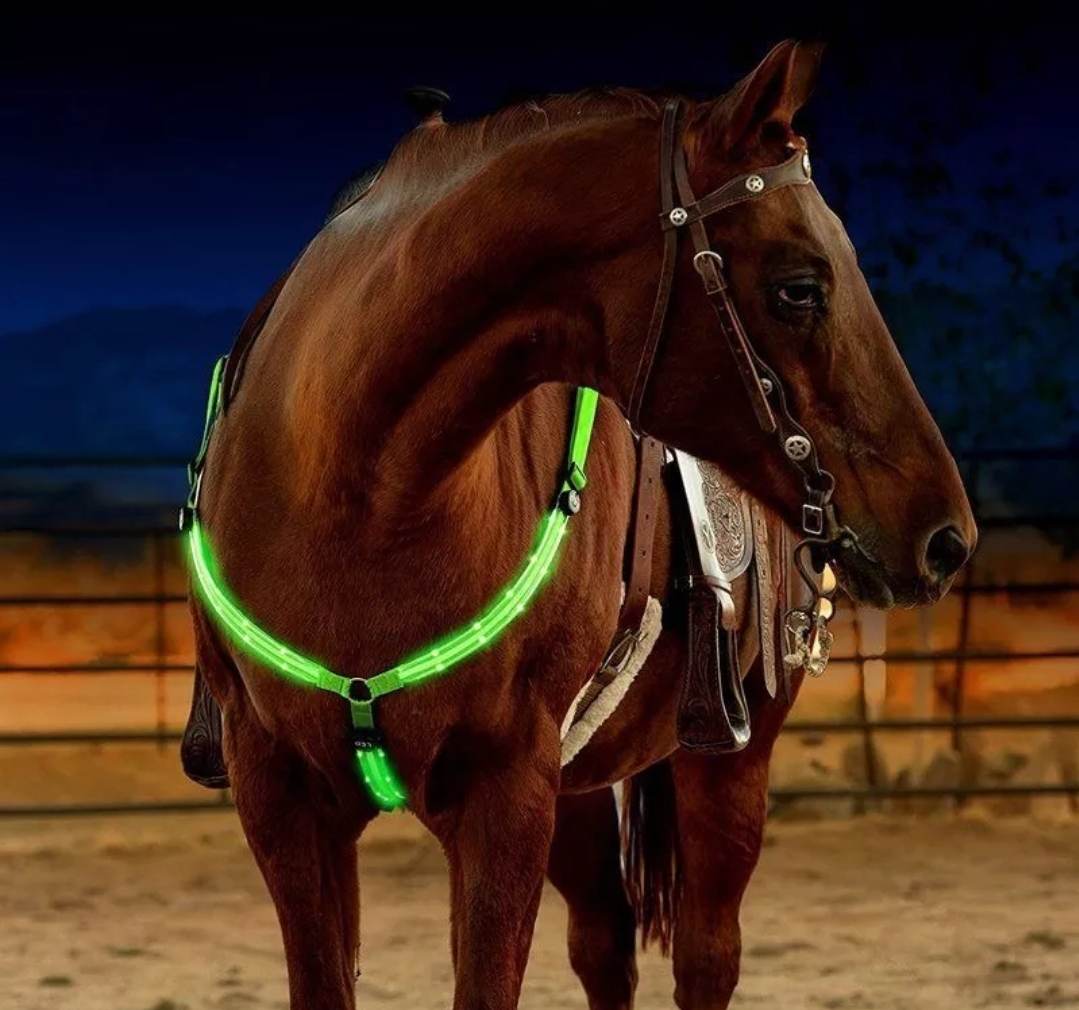 Night time LED horse riding set