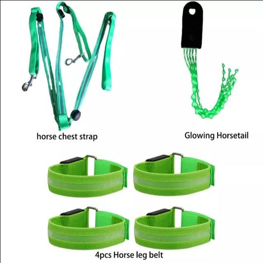 Night time LED horse riding set